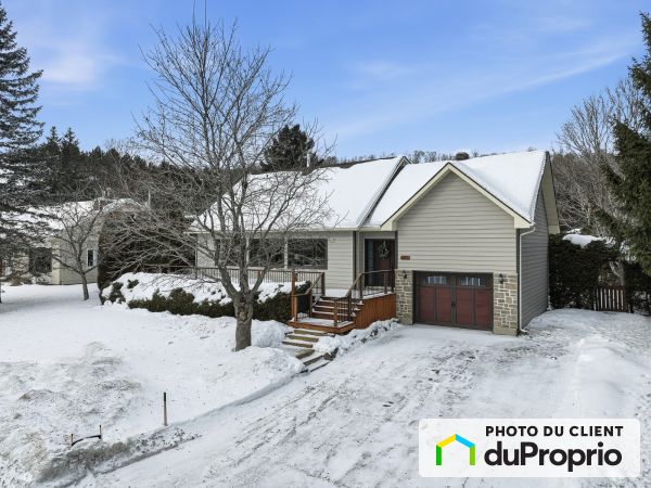445 rue du Baron, St-Sauveur for sale