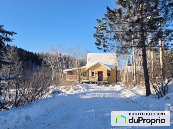 380, chemin du lac Brébeuf, St-Félix-D&#39;Otis à vendre