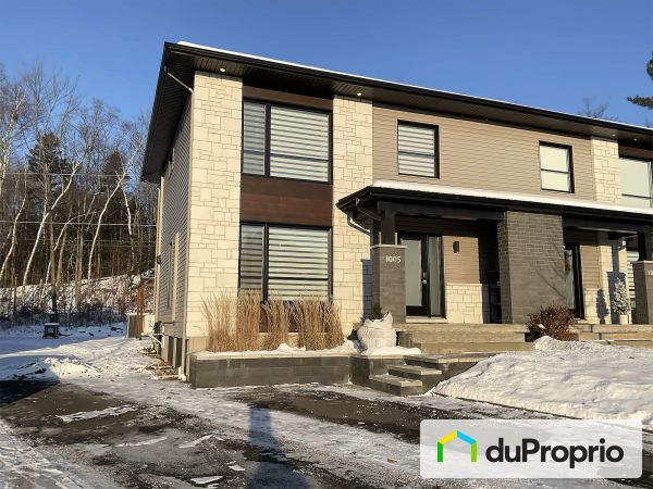 1005, rue du Butor, St-Nicolas à vendre