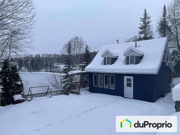 Cour arrière - 660, sentier Waltzing, St-Félix-D&#39;Otis à vendre