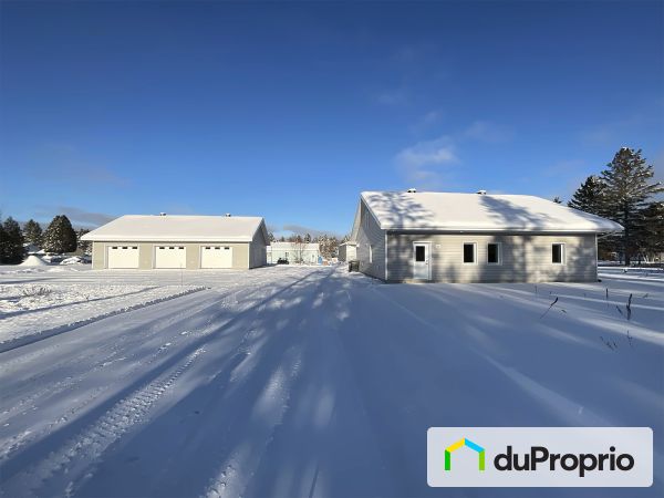 221, rue Laroche, St-Elie-de-Caxton à vendre