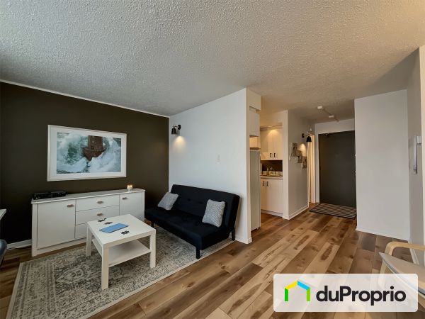 409-295, boul. St-Joseph, Gatineau (Hull) à vendre