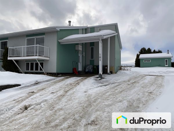 102, rue Claveau, St-Félix-D'Otis à vendre