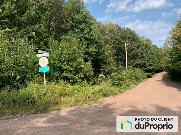 , rue de Nürnberg, Brownsburg-Chatham à vendre