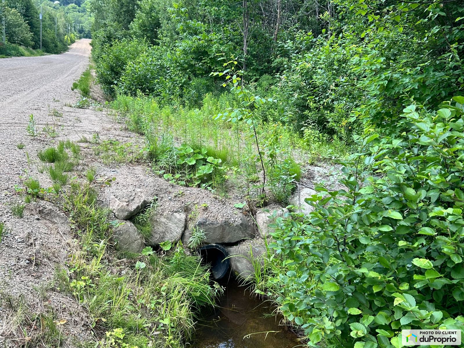 0 Chemin Jacques Labreque — photo 2