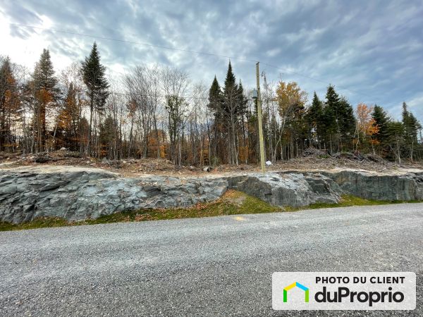 X côte du Griffon, Mont-Blanc (St-Faustin-Lac-Carré) for sale