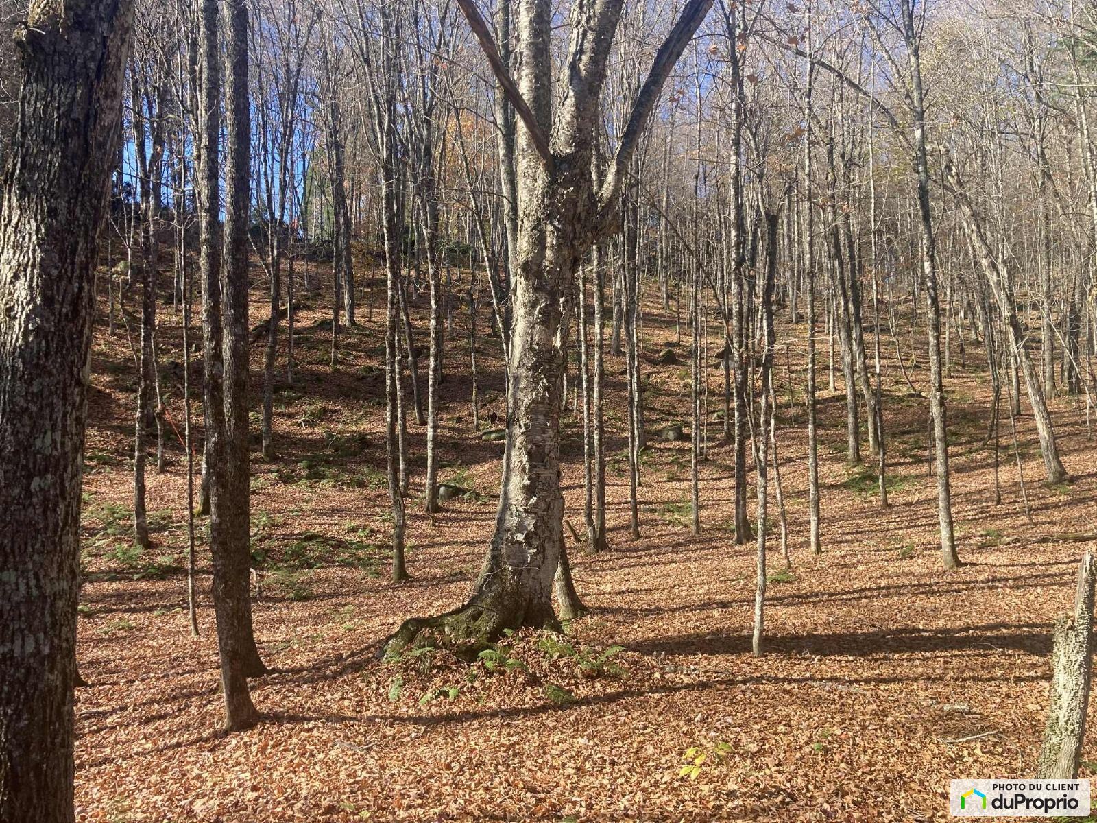 28 Chemin Du Ruisseau Noir — photo 2