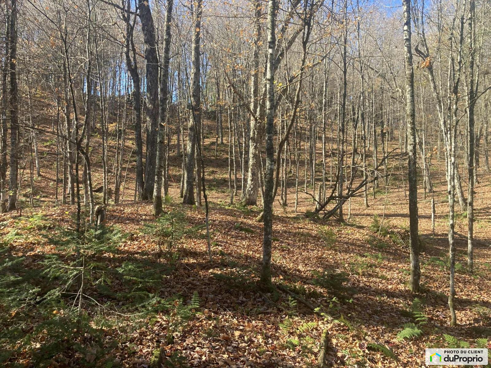 28 Chemin Du Ruisseau Noir — photo 3