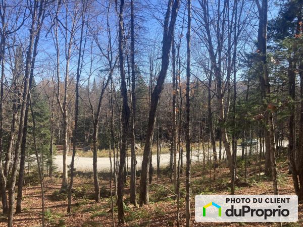 28, chemin du Ruisseau-Noir, Ste-Agathe-Des-Monts à vendre