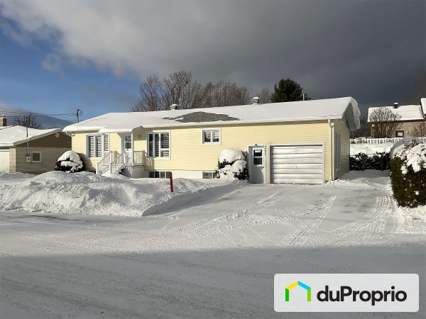 351, rue Sainte-Suzanne, Disraeli à vendre