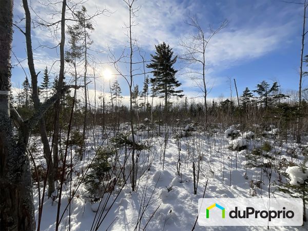  route Centrale, St-Bruno-De-Kamouraska for sale