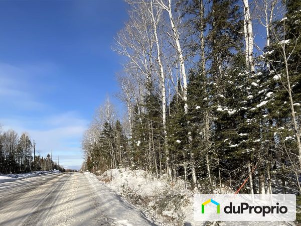 , route Centrale, St-Bruno-De-Kamouraska à vendre