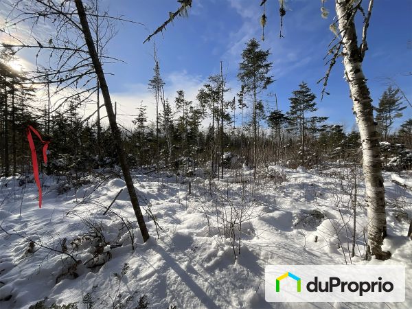  route Centrale, St-Bruno-De-Kamouraska for sale