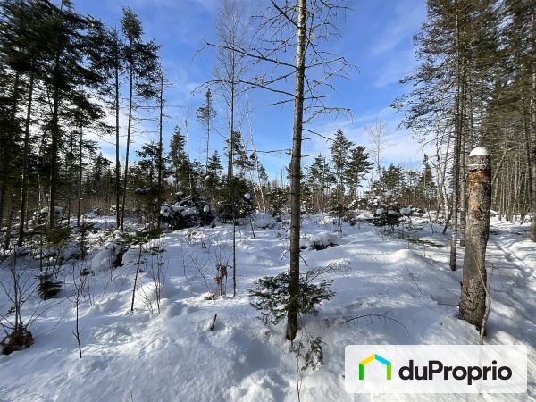  route Centrale, St-Bruno-De-Kamouraska for sale