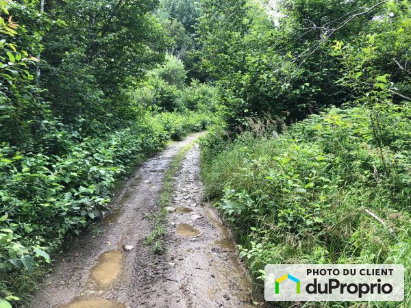 Woods -  route de la Brousse, Port-Daniel for sale