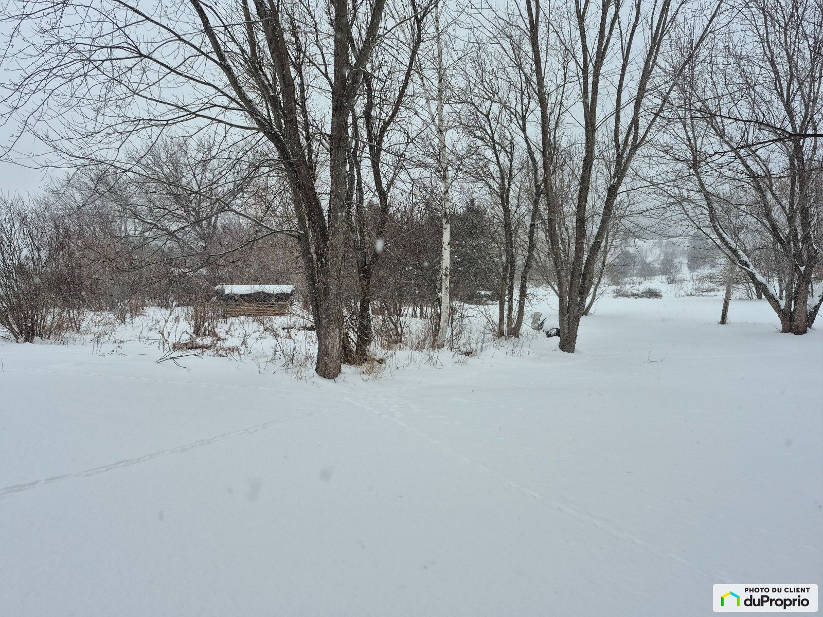 X Route 143 — photo 2