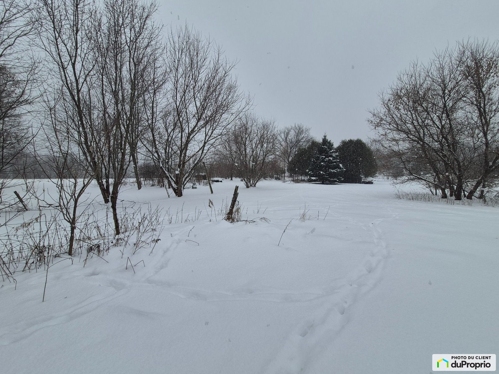 X Route 143 — photo 3
