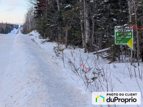 , route Centrale, St-Bruno-De-Kamouraska à vendre