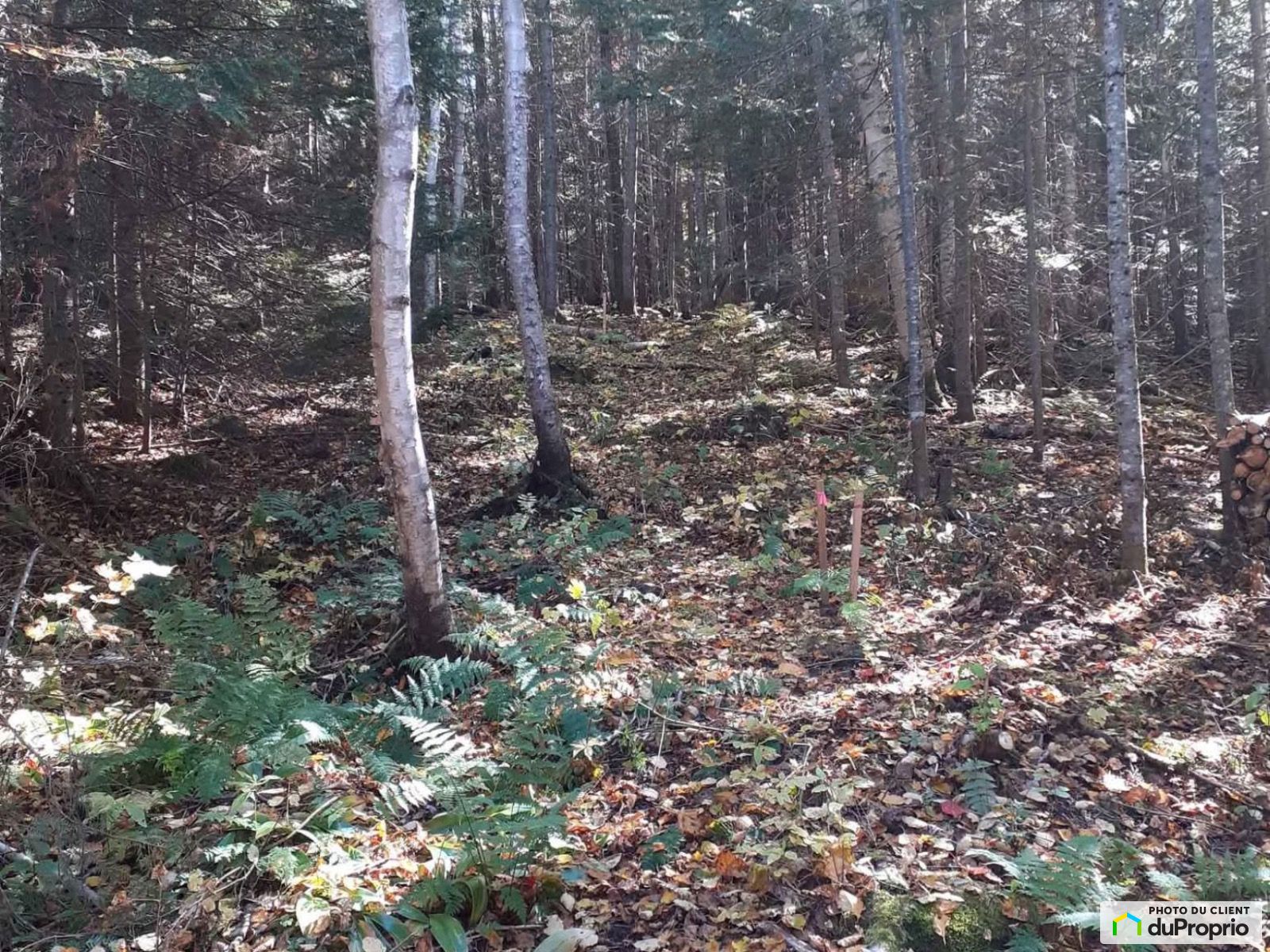 Chemin Du Lac Dapic — photo 2
