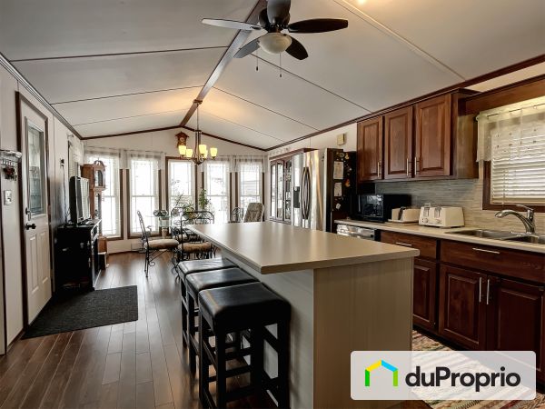 674, avenue de Tampa, St-Ambroise à vendre