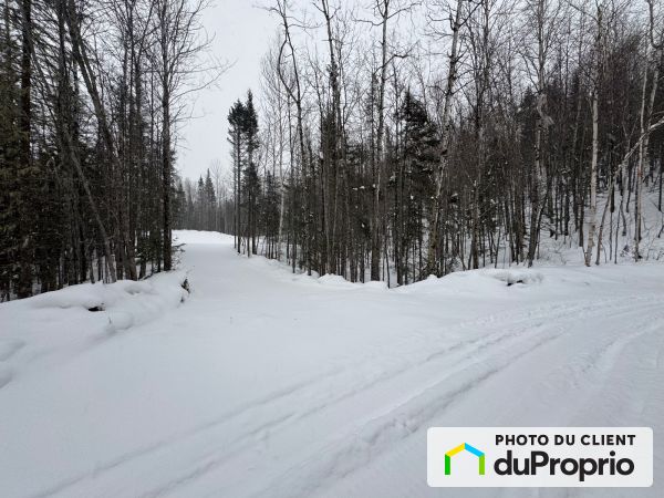 , rue de Lozère, L'Anse-St-Jean à vendre