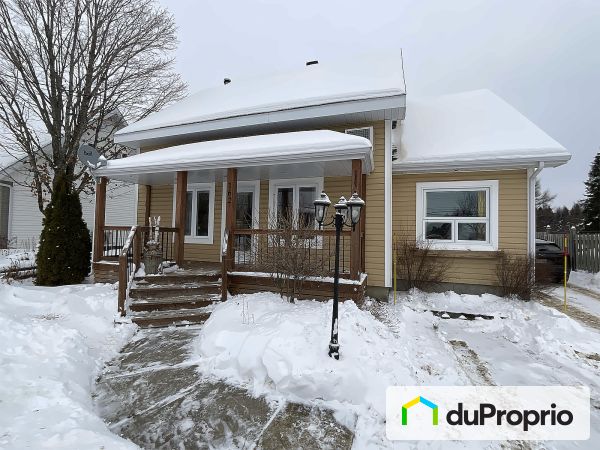 162, rue Raymond, St-Louis-Du-Ha-Ha à vendre