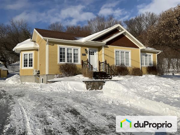 751 rue Léon Beaudry, Neuville for sale