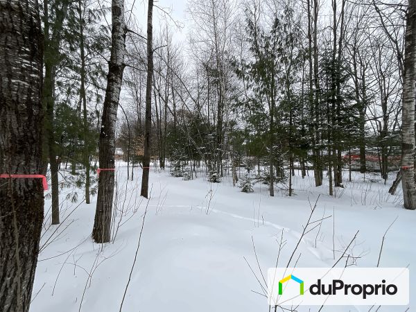 65 Rue Bédard, Drummondville (St-Nicéphore) for sale