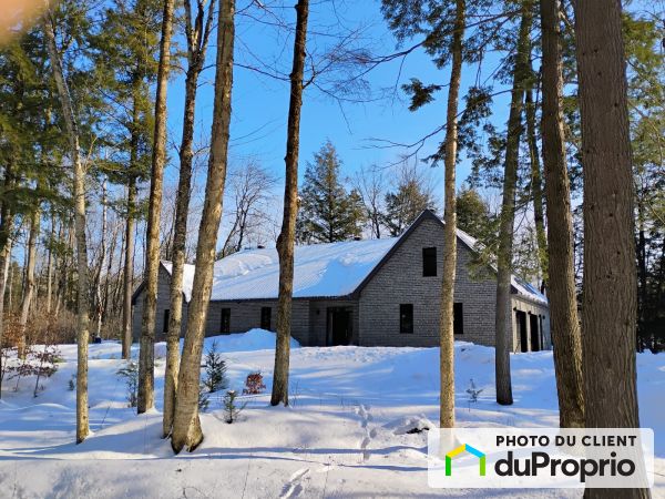 825, rue du Terrier, St-François-Xavier-De-Brompton à vendre