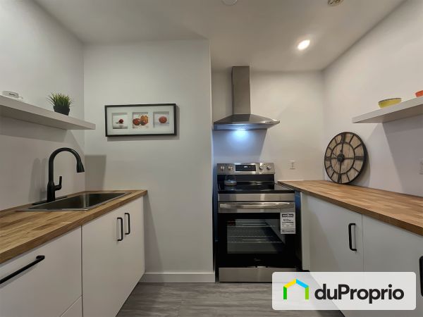 Kitchen - 206-462 boulevard Alexandre-Taché, Gatineau (Hull) for sale