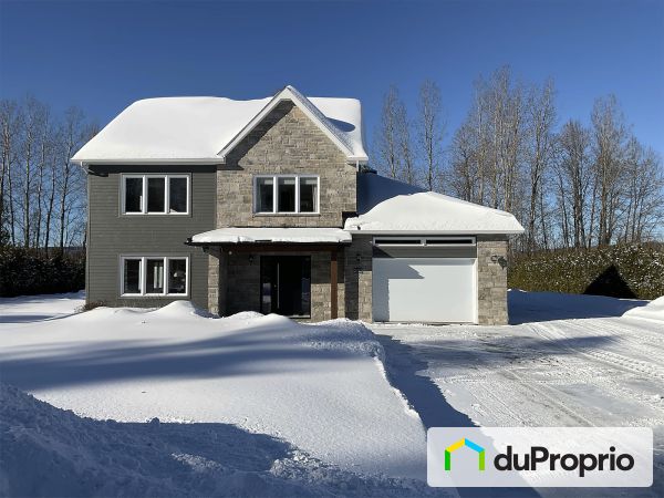 259 2e avenue Domaine-Morin, St-Gabriel-De-Brandon for sale