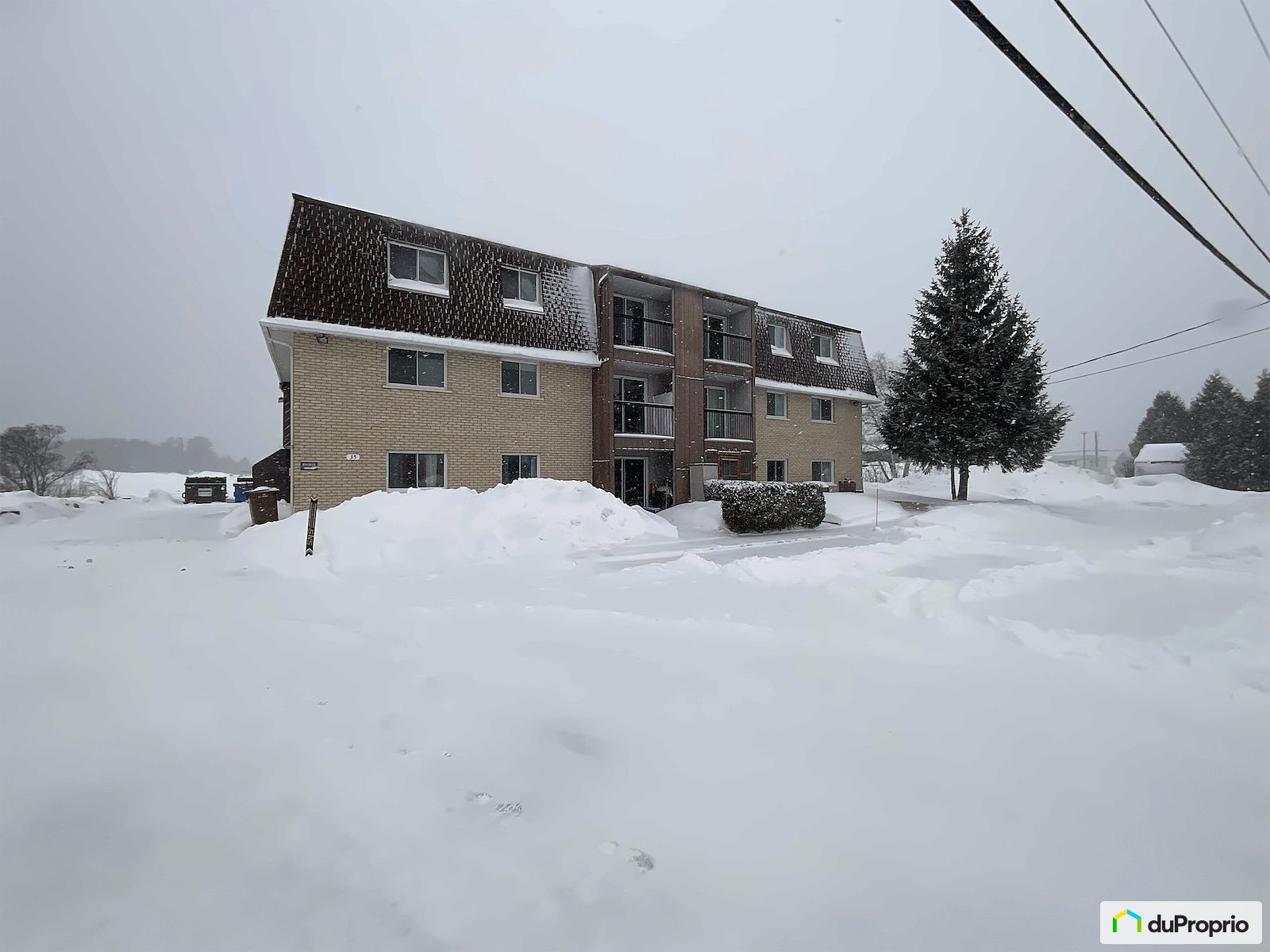 35 Rue Cooke — photo 1