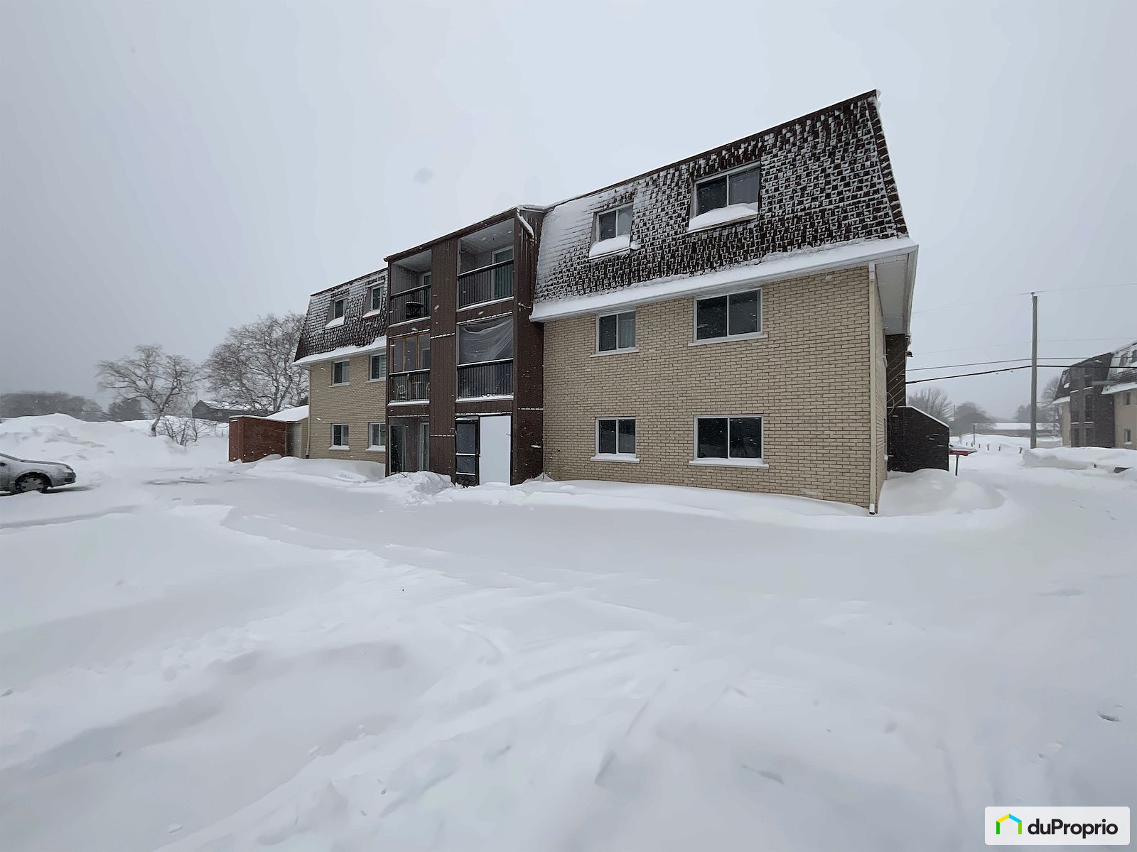 35 Rue Cooke — photo 3