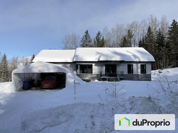 141, rue Edna-Mcgurrin, St-Côme à vendre