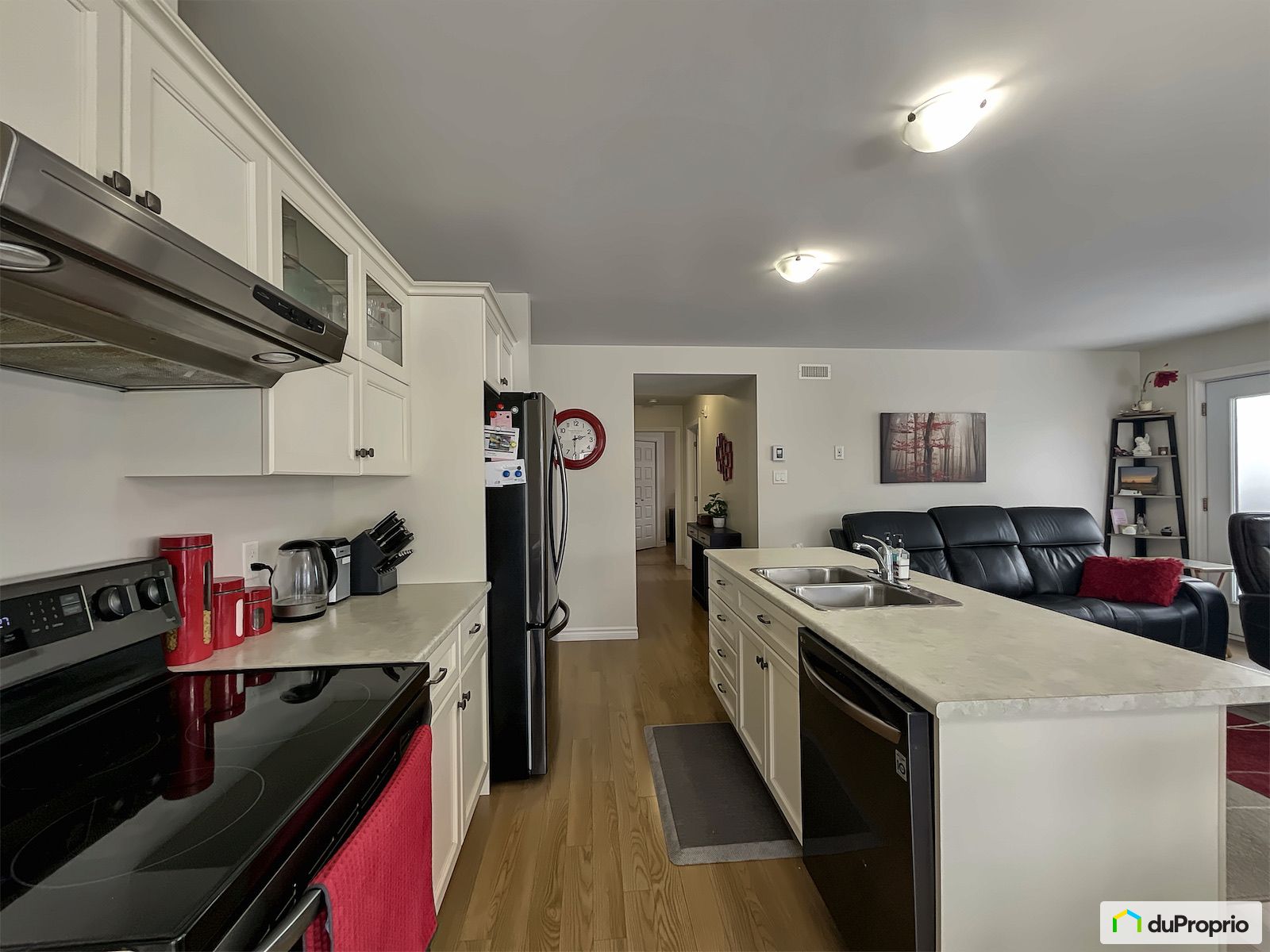 6 329 Rue Saint Jean Baptiste — photo 2