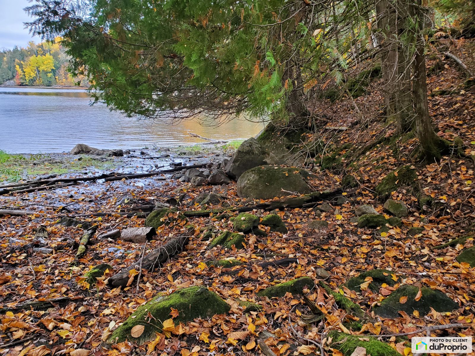 X Chemin Du Panorama — photo 3