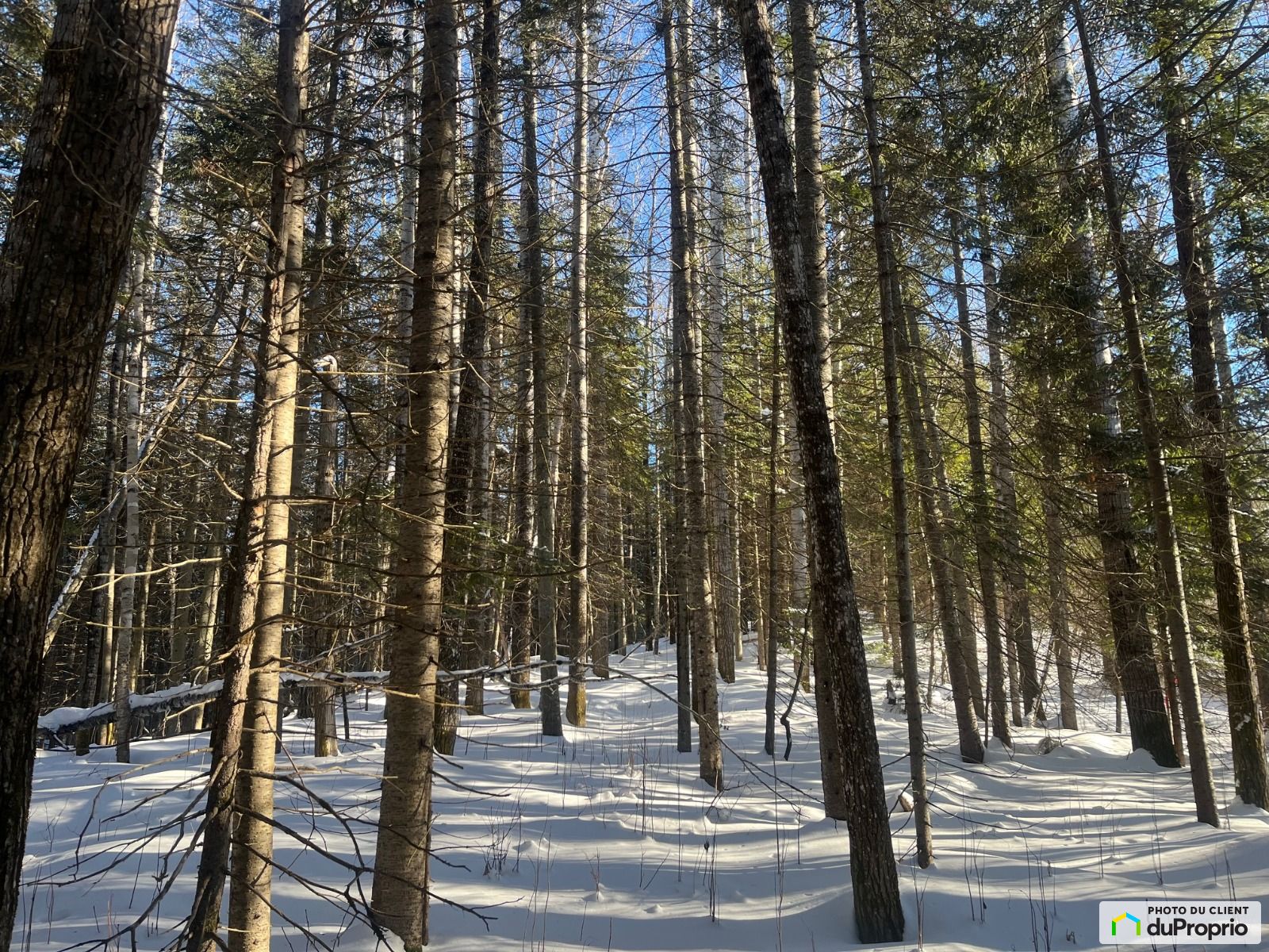 2E Rang — photo 2