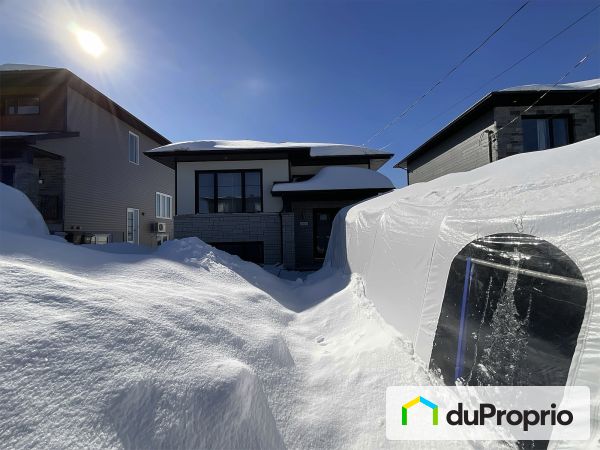 93, rue Laflamme, St-Apollinaire à vendre