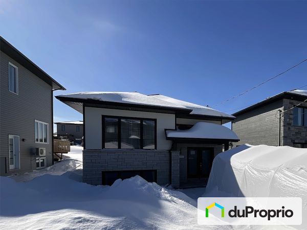 93, rue Laflamme, St-Apollinaire à vendre