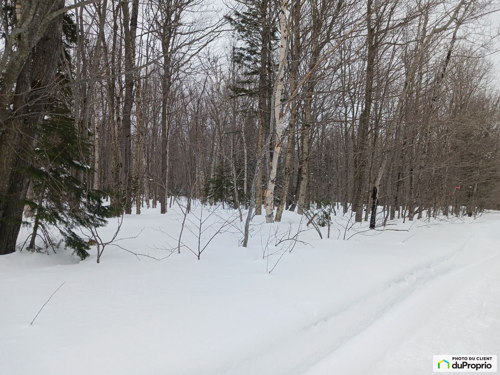 31 Route 283 — photo 3