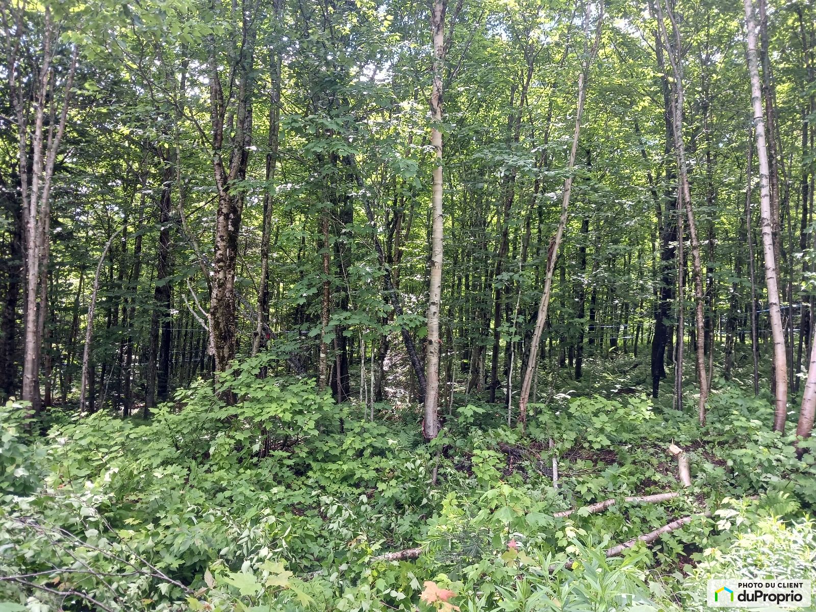 31 Route 283 — photo 2