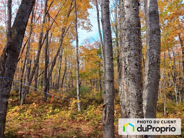 31 route 283, St-Fabien-De-Panet for sale