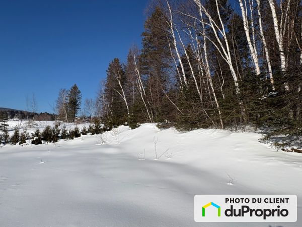 Backyard -  rue de Coubertin, St-Ferréol-les-Neiges for sale