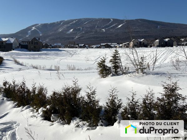 Cour arrière - , rue de Coubertin, St-Ferréol-les-Neiges à vendre
