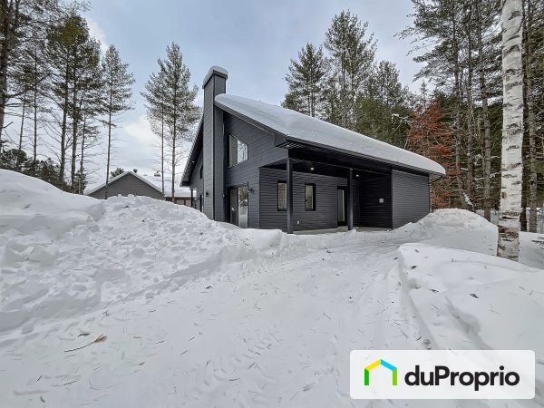 154 chemin Raymond, Val-Des-Bois for sale