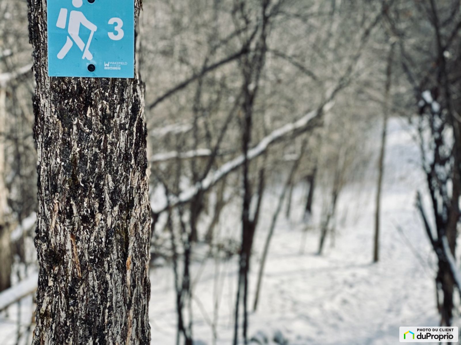 102 Chemin Cross Lot 43 — photo 3
