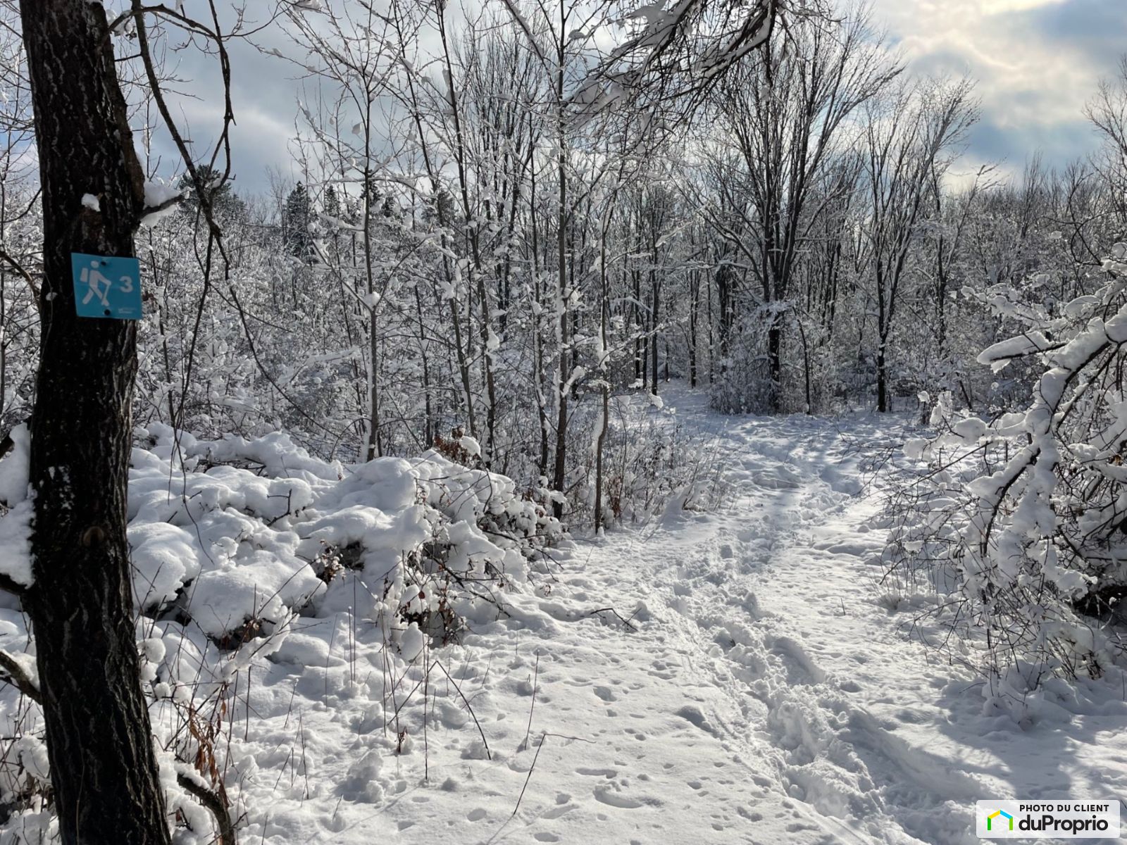204 Chemin Cross Lot 95 — photo 2