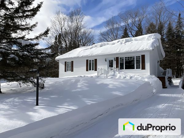 3925, chemin des Bois-Francs Est, Thetford Mines à vendre