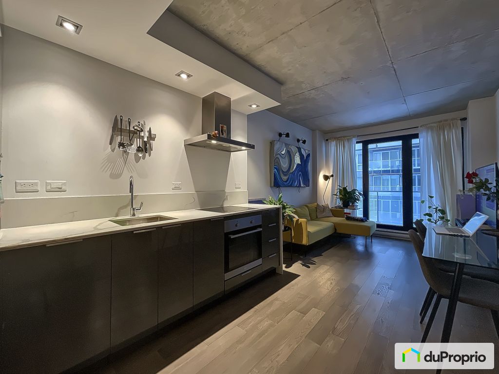 320 700 Rue Saint Paul Ouest — photo 2