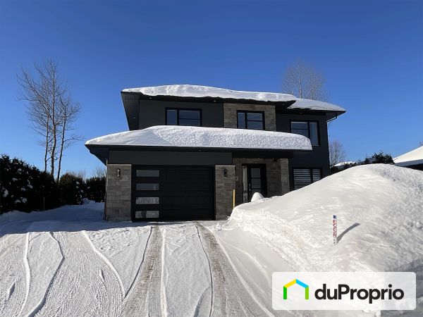 117, rue Ferrée, Boischatel à vendre